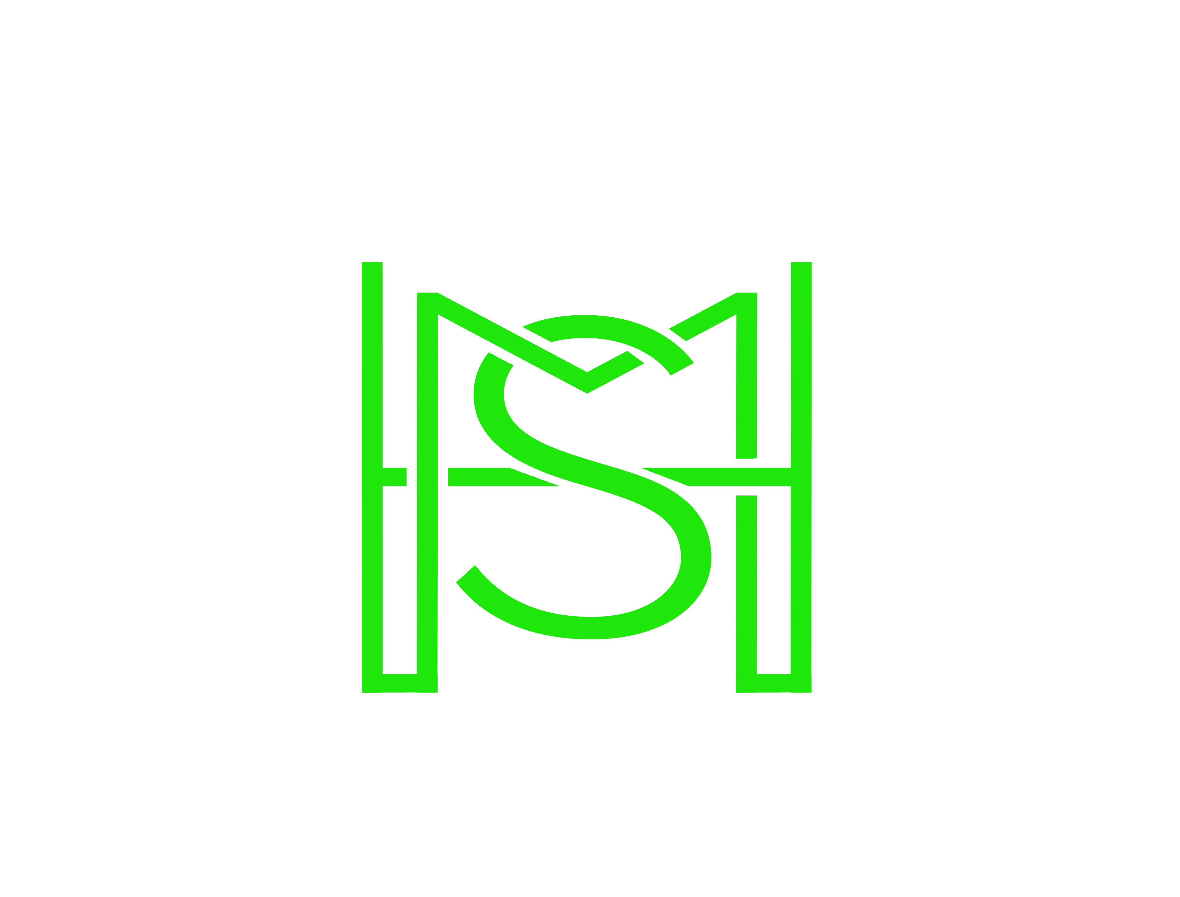 HSM logo no background