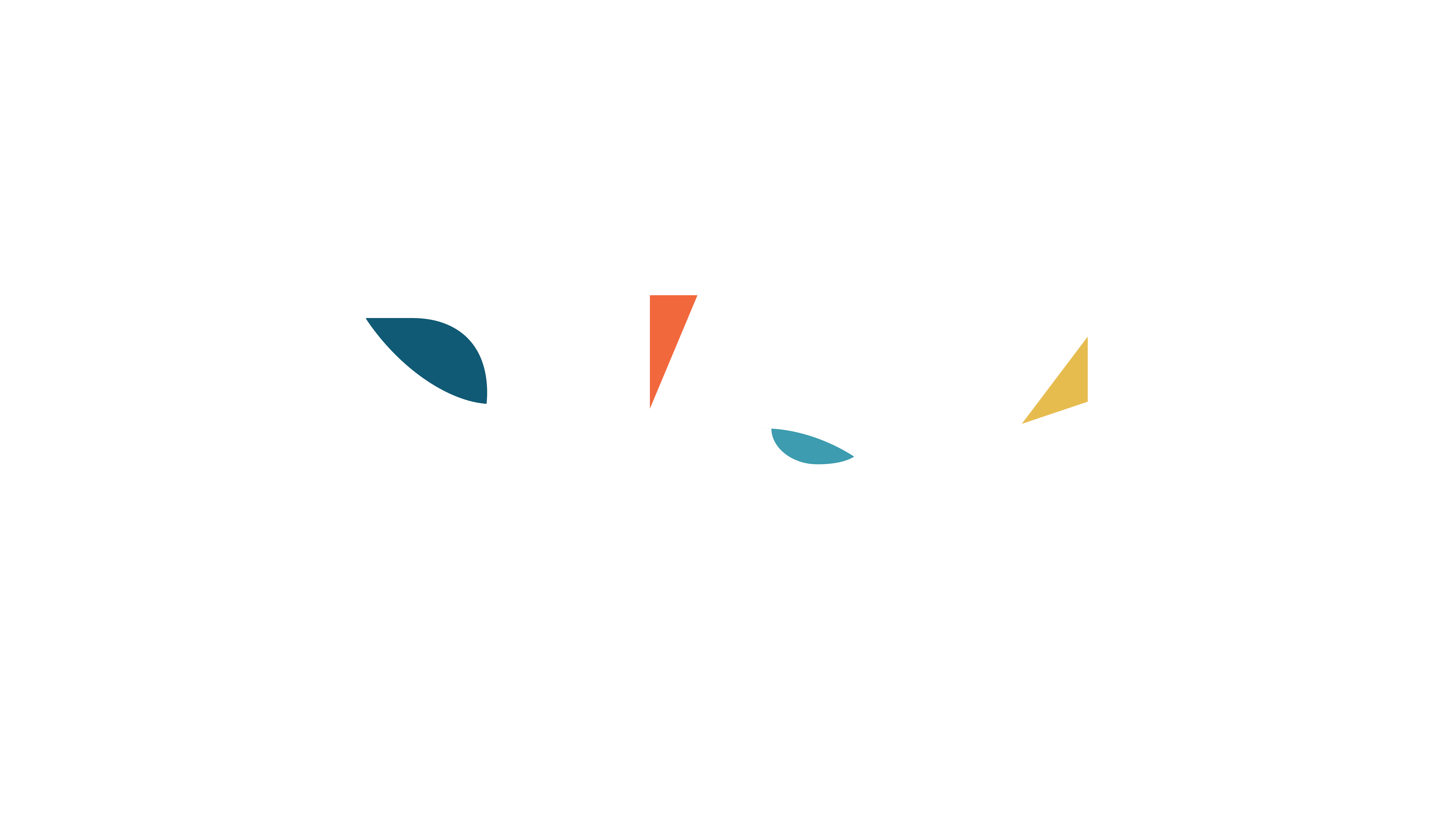 DVSM logo White