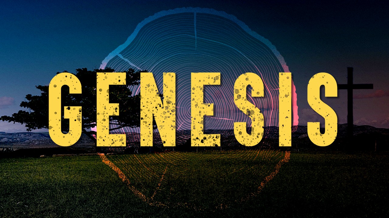 Genesis Graphic Genesis Graphic