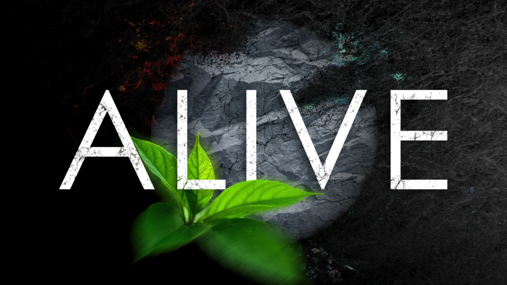 Alive Title Slide